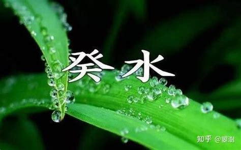 葵水命|癸水